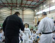Karate cu Ioana
