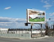 NICIO ZI FARA MISCARE