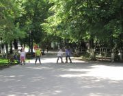 Toata lumea pe roti!!!