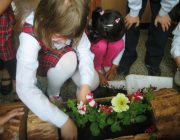 Natura curata inseamna viata sanatoasa 