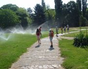 Atentie pe unde alergi !