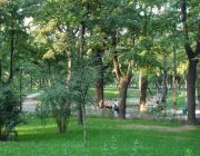 Mersul pe jos – totdeauna sãnãtos! 